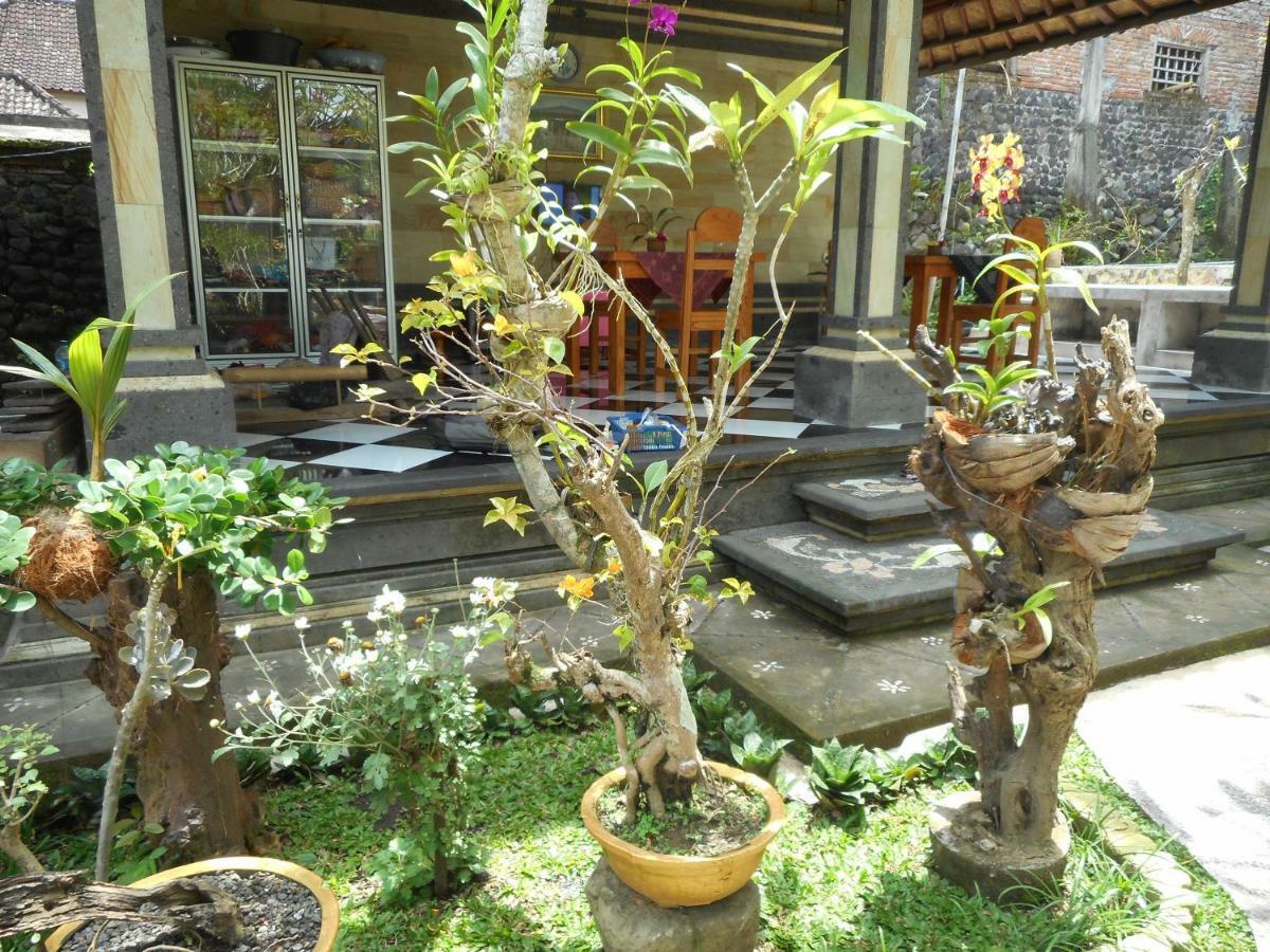 Milla Homestay Sidemen  Ngoại thất bức ảnh