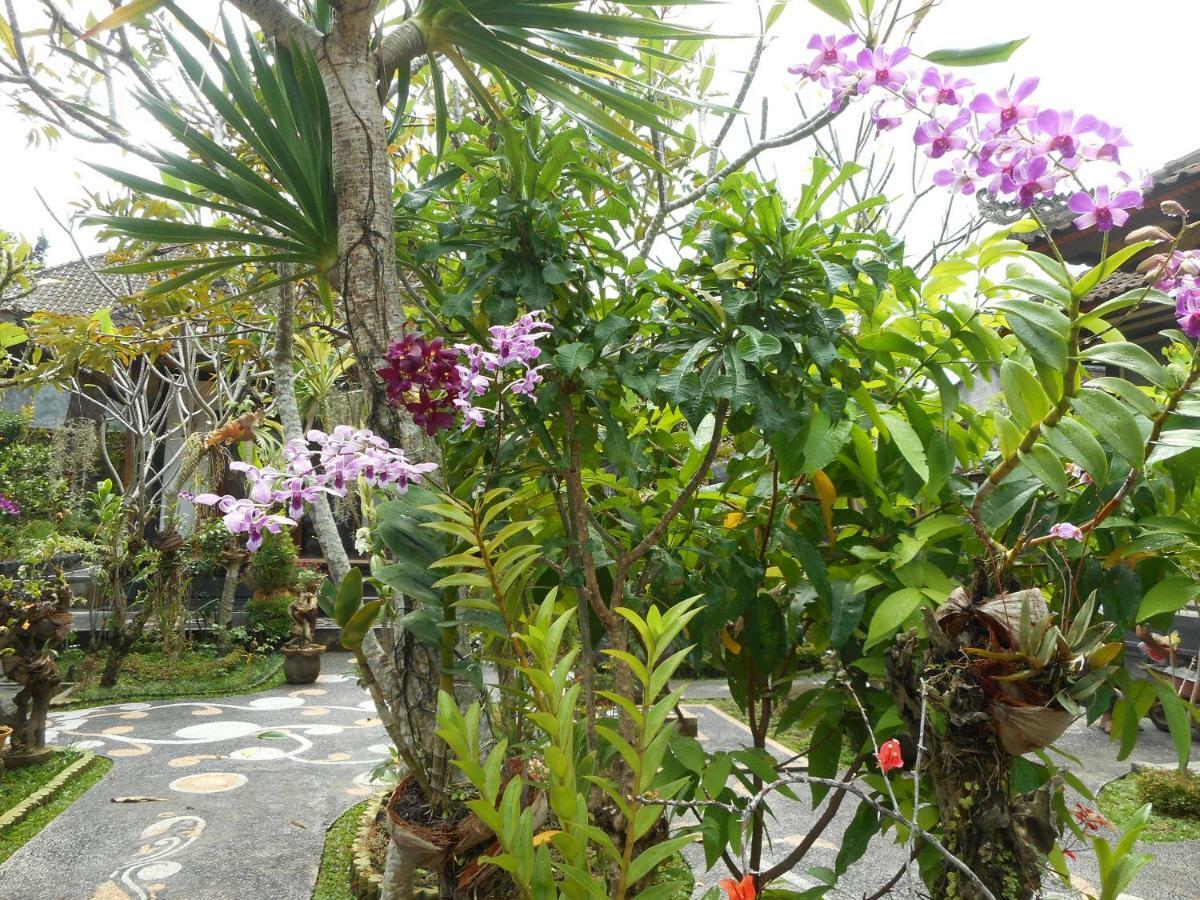Milla Homestay Sidemen  Ngoại thất bức ảnh