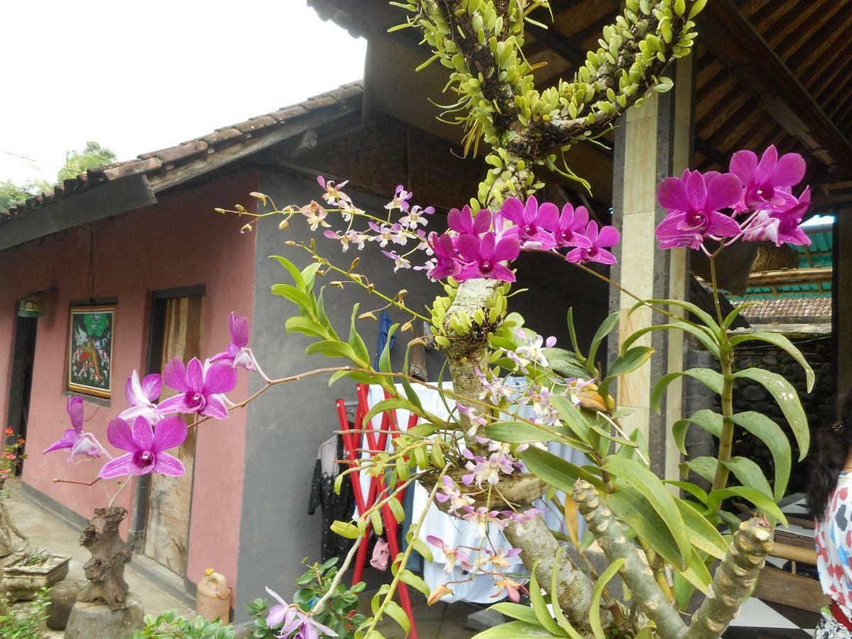 Milla Homestay Sidemen  Ngoại thất bức ảnh